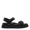 Chiccurrent.shop5385b24388 1