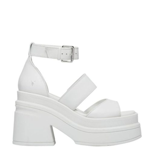 Chiccurrent.shop65f440dee4 1
