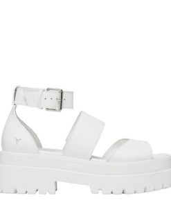 Chiccurrent.shop85e114503d 1