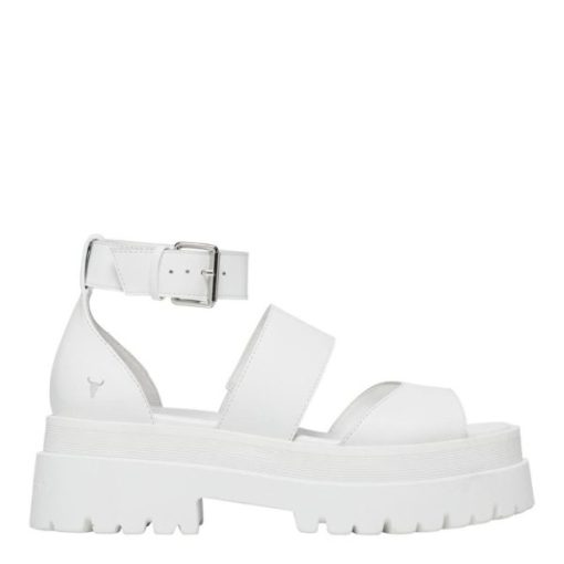 Chiccurrent.shop85e114503d 1